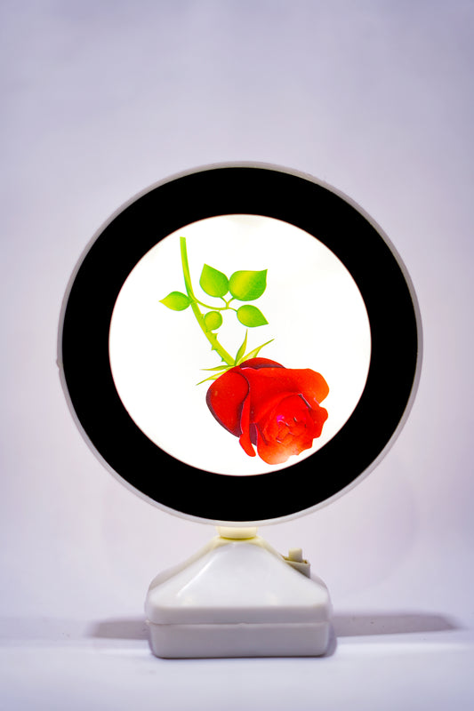 Customized LED Round Photo Frame with Dual Power Option – Battery & USB
